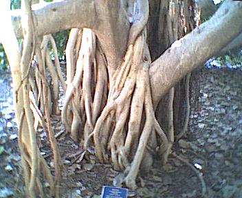 840052.jpg