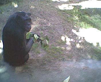 zoo18.jpg