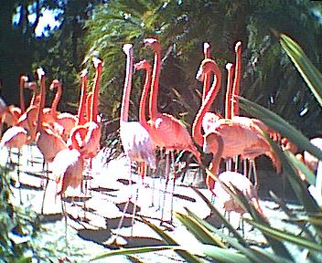 zoo30.jpg