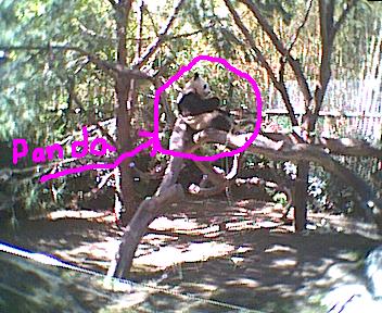 zoo38.jpg